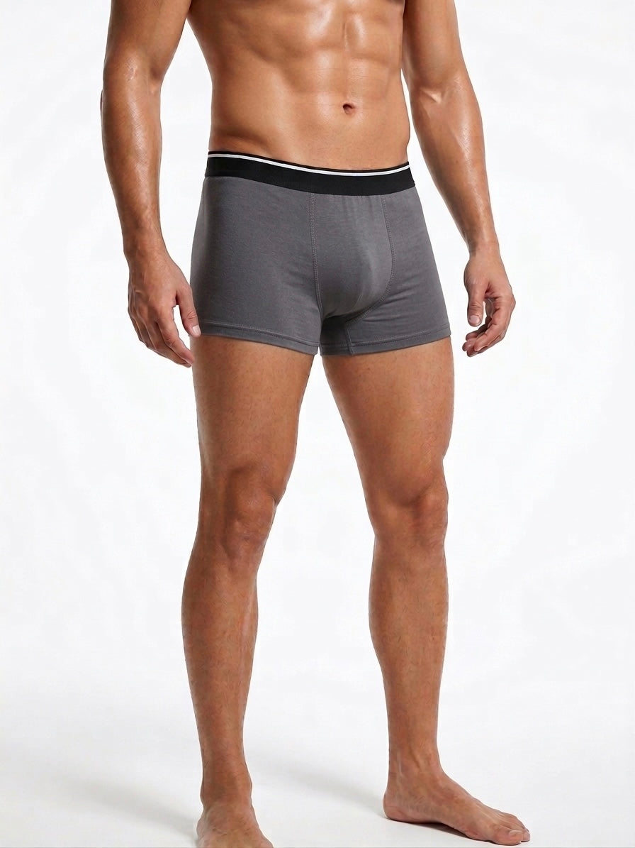 LINNDEN Premium Modal Trunks